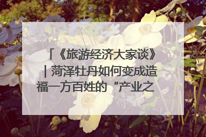 《旅游经济大家谈》｜菏泽牡丹如何变成造福一方百姓的“产业之花”“富民之花”？