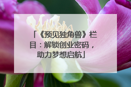 《预见独角兽》栏目：解锁创业密码，助力梦想启航