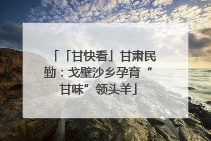 「甘快看」甘肃民勤：戈壁沙乡孕育“甘味”领头羊