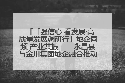 「强信心 看发展·高质量发展调研行」地企同频 产业共振——永昌县与金川集团地企融合推动重大项目建设