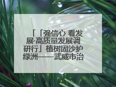 「强信心 看发展·高质量发展调研行」植树固沙护绿洲——武威市治沙造林筑牢生态安全屏障见闻