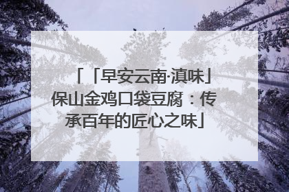 「早安云南·滇味」保山金鸡口袋豆腐：传承百年的匠心之味