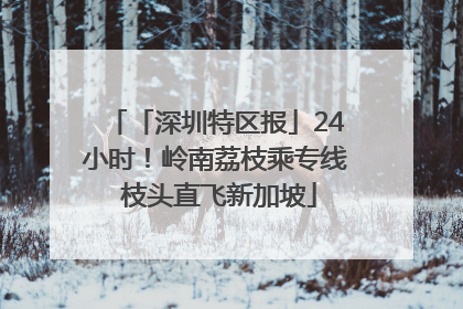 「深圳特区报」24小时！岭南荔枝乘专线 枝头直飞新加坡