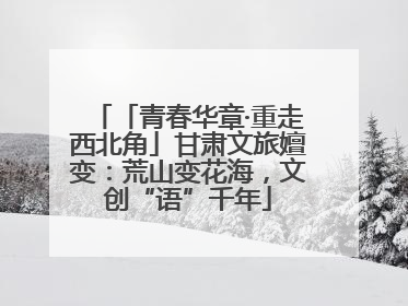 「青春华章·重走西北角」甘肃文旅嬗变：荒山变花海，文创“语”千年