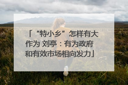 “特小乡”怎样有大作为 刘亭：有为政府和有效市场相向发力