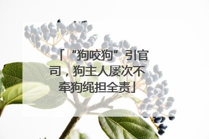 “狗咬狗”引官司，狗主人屡次不牵狗绳担全责