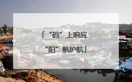 “码”上响应 “阳”帆护航