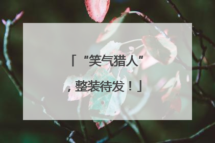 “笑气猎人”，整装待发！