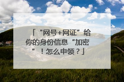 “网号+网证”给你的身份信息“加密”！怎么申领？