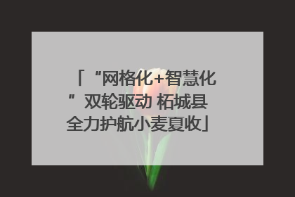 “网格化+智慧化”双轮驱动 柘城县全力护航小麦夏收