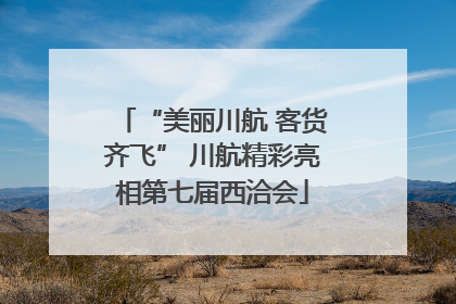 “美丽川航 客货齐飞” 川航精彩亮相第七届西洽会