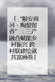 “粮安商河・陶梨留香”：三产融合赋能乡村振兴 跨村联建绘就共富画卷