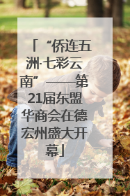 “侨连五洲·七彩云南”——第21届东盟华商会在德宏州盛大开幕
