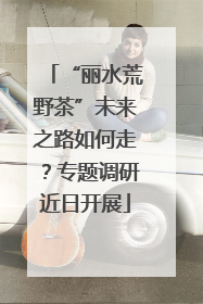 “丽水荒野茶”未来之路如何走？专题调研近日开展