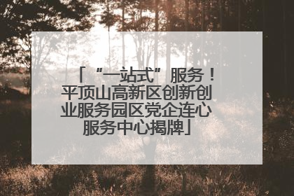 “一站式”服务！平顶山高新区创新创业服务园区党企连心服务中心揭牌