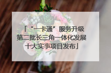 “一卡通”服务升级 第二批长三角一体化发展十大实事项目发布