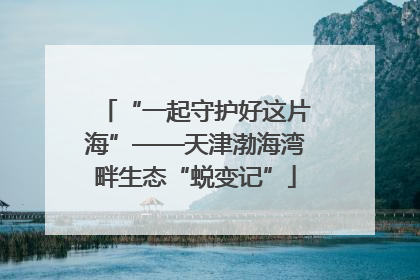 “一起守护好这片海”——天津渤海湾畔生态“蜕变记”