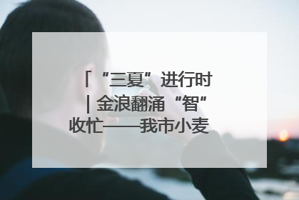“三夏”进行时｜金浪翻涌“智”收忙——我市小麦开镰收割见闻