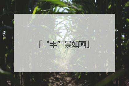 “丰”景如画