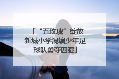 “五玫瑰”绽放 新城小学混编少年足球队勇夺四强