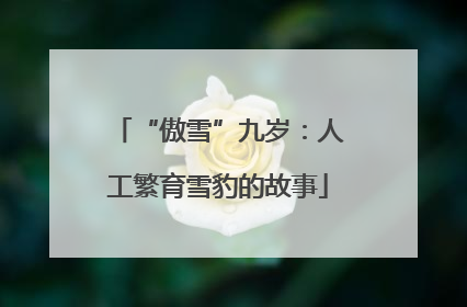“傲雪”九岁：人工繁育雪豹的故事