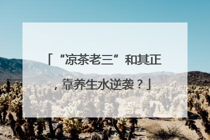 “凉茶老三”和其正，靠养生水逆袭？