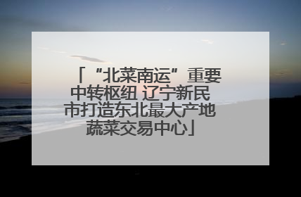 “北菜南运”重要中转枢纽 辽宁新民市打造东北最大产地蔬菜交易中心