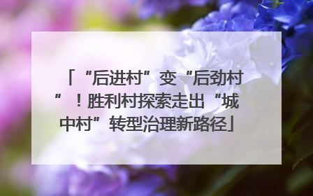 “后进村”变“后劲村”！胜利村探索走出“城中村”转型治理新路径
