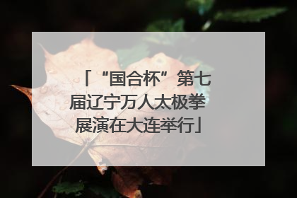 “国合杯”第七届辽宁万人太极拳展演在大连举行