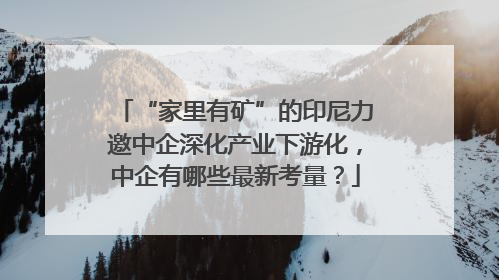 “家里有矿”的印尼力邀中企深化产业下游化，中企有哪些最新考量？