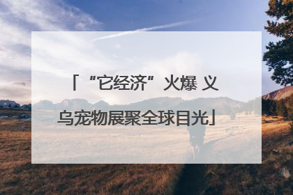 “它经济”火爆 义乌宠物展聚全球目光