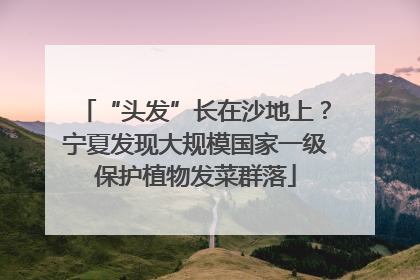 “头发”长在沙地上？宁夏发现大规模国家一级保护植物发菜群落