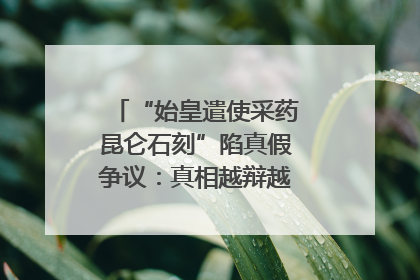 “始皇遣使采药昆仑石刻”陷真假争议：真相越辩越明｜新京报专栏