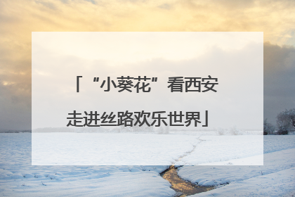 “小葵花”看西安走进丝路欢乐世界