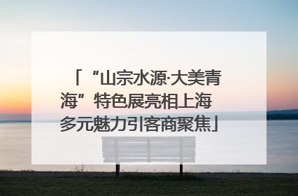 “山宗水源·大美青海”特色展亮相上海 多元魅力引客商聚焦