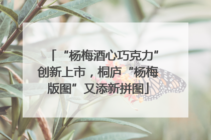 “杨梅酒心巧克力”创新上市，桐庐“杨梅版图”又添新拼图