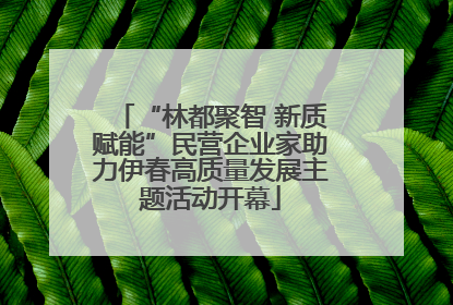 “林都聚智 新质赋能”民营企业家助力伊春高质量发展主题活动开幕