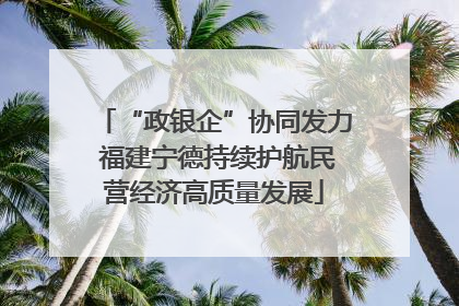 “政银企”协同发力 福建宁德持续护航民营经济高质量发展