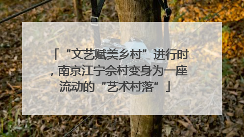 “文艺赋美乡村”进行时，南京江宁佘村变身为一座流动的“艺术村落”