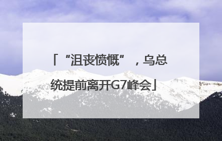 “沮丧愤慨”，乌总统提前离开G7峰会