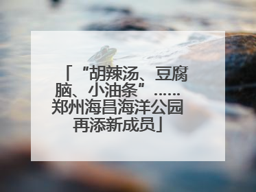 “胡辣汤、豆腐脑、小油条”……郑州海昌海洋公园再添新成员