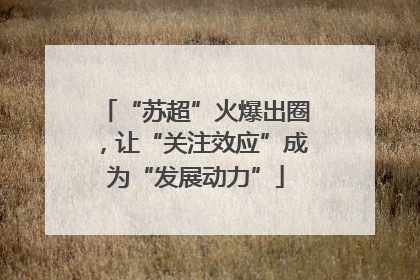 “苏超”火爆出圈，让“关注效应”成为“发展动力”