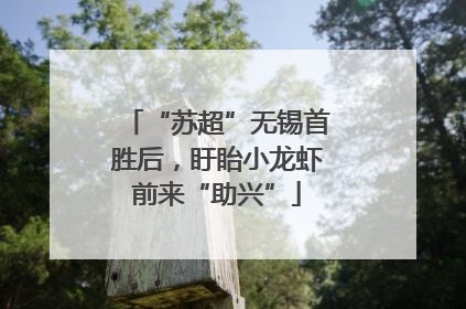 “苏超”无锡首胜后，盱眙小龙虾前来“助兴”