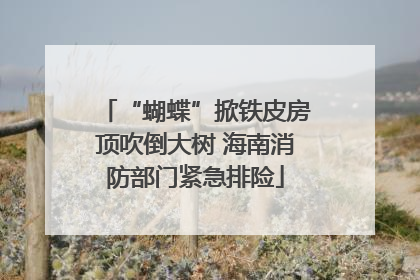 “蝴蝶”掀铁皮房顶吹倒大树 海南消防部门紧急排险