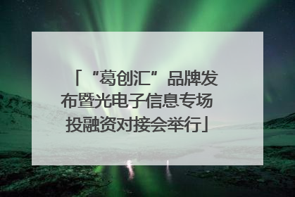 “葛创汇”品牌发布暨光电子信息专场投融资对接会举行