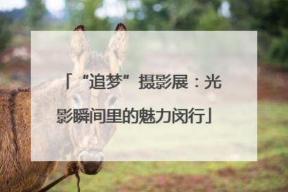 “追梦”摄影展：光影瞬间里的魅力闵行