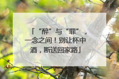 “醉”与“罪”，一念之间！别让杯中酒，断送回家路