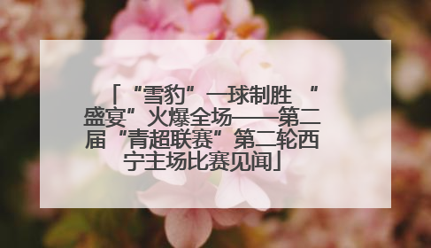“雪豹”一球制胜 “盛宴”火爆全场——第二届“青超联赛”第二轮西宁主场比赛见闻
