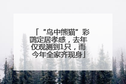 “鸟中熊猫”彩鹮定居孝感，去年仅观测到1只，而今年全家齐现身