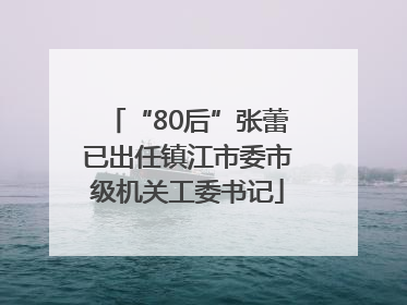 “80后”张蕾已出任镇江市委市级机关工委书记